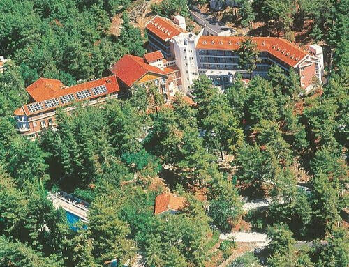Forest Park Hotel Πλάτρες